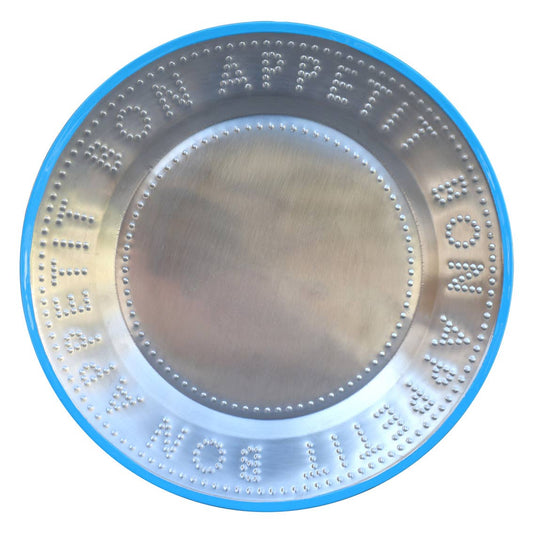 Blue Stainless Steel Reusable Plate | 25cm | Picnic |Summer|