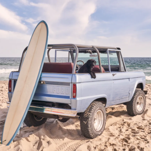 Beach Bronco Pup - Nantucket