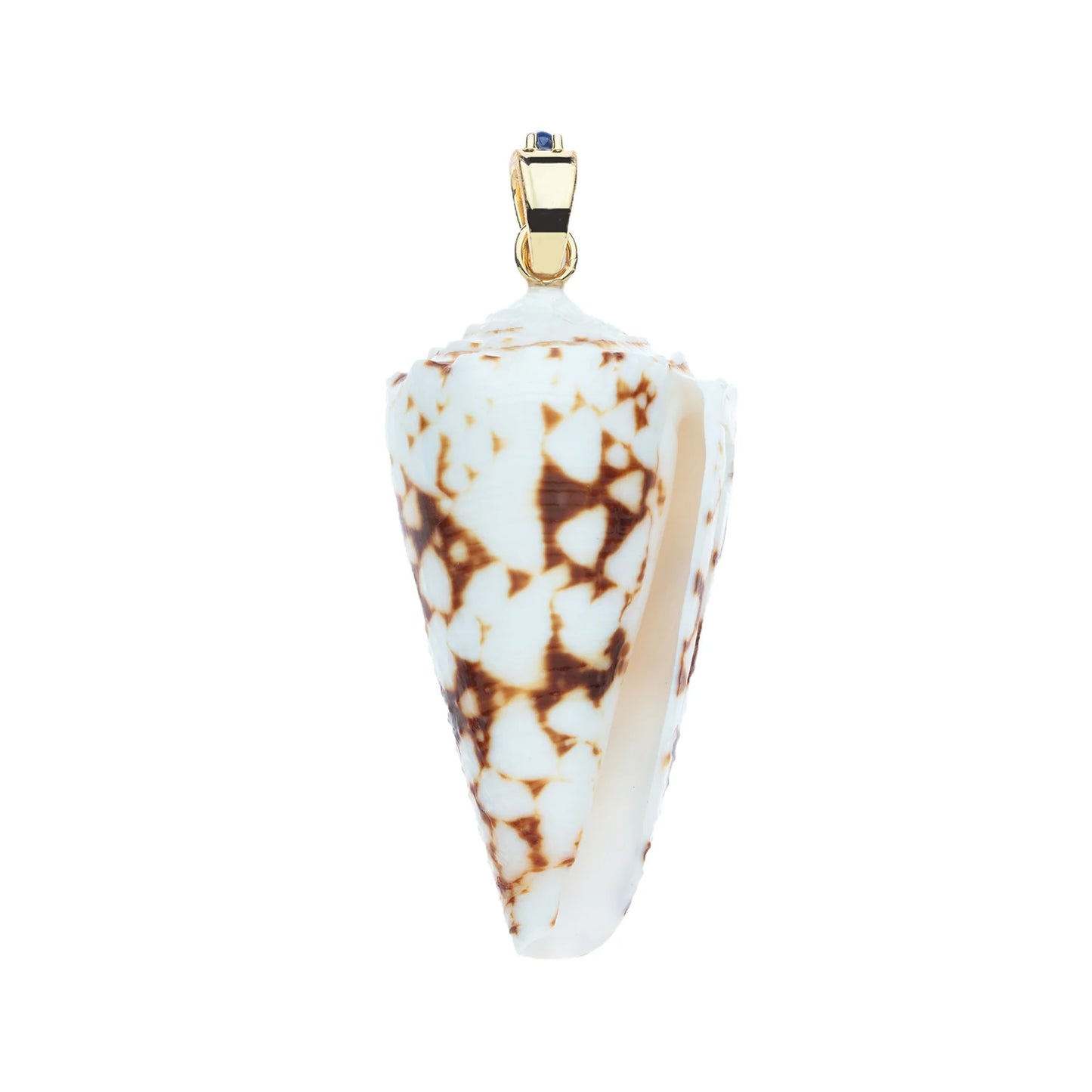 STRONG in the Shallows Shell Pendant on 16-18” Rolo Chain