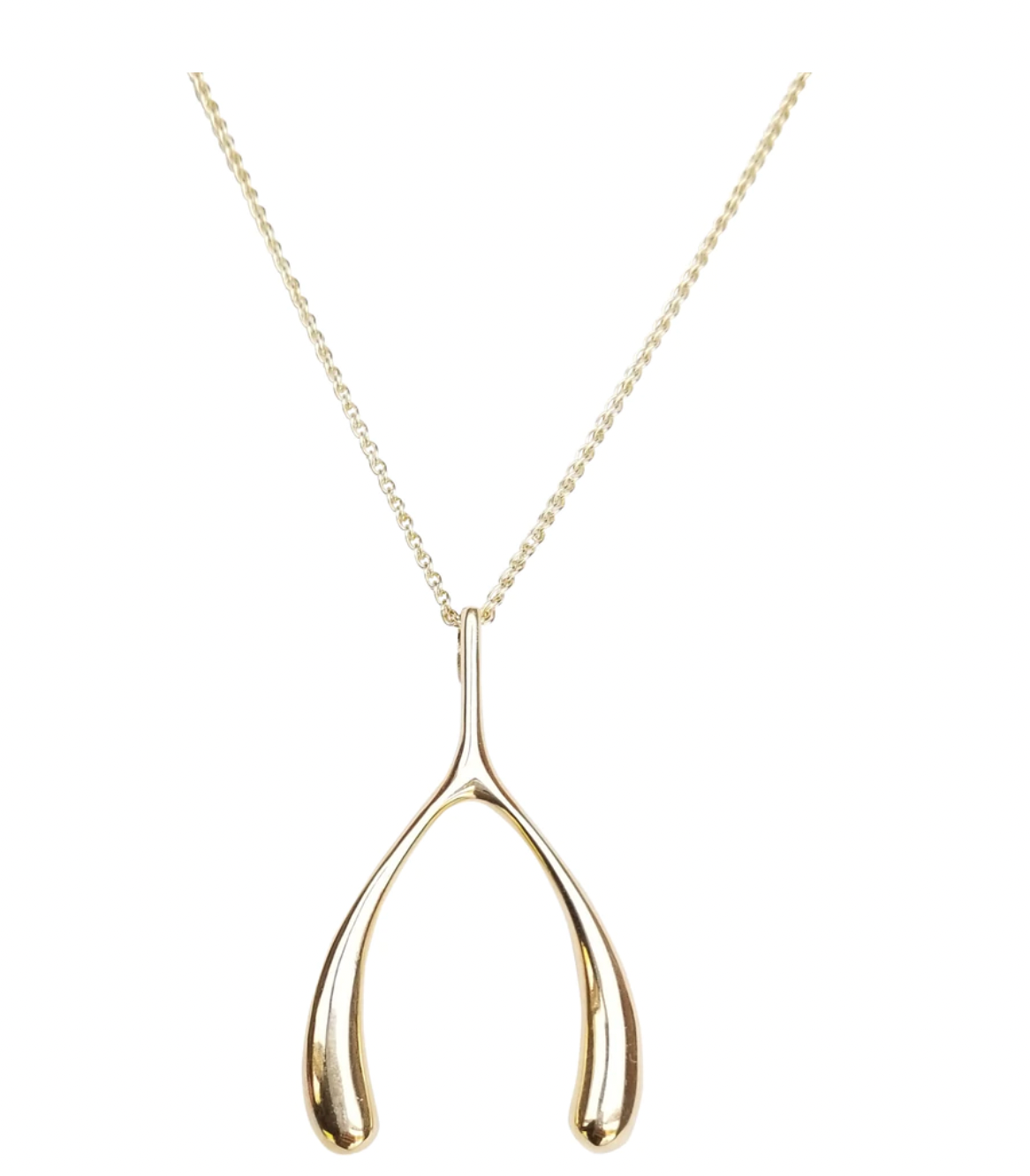 LUCKY Gold Wishbone Pendant Necklace