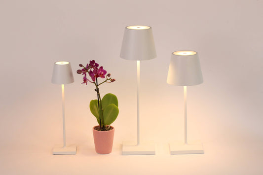 Poldina Pro Micro Cordless Lamp: White