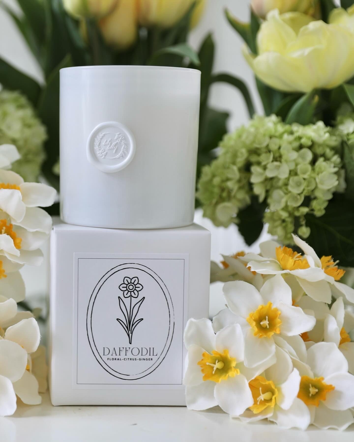 Daffodil Candle | Floral Citrus Ginger