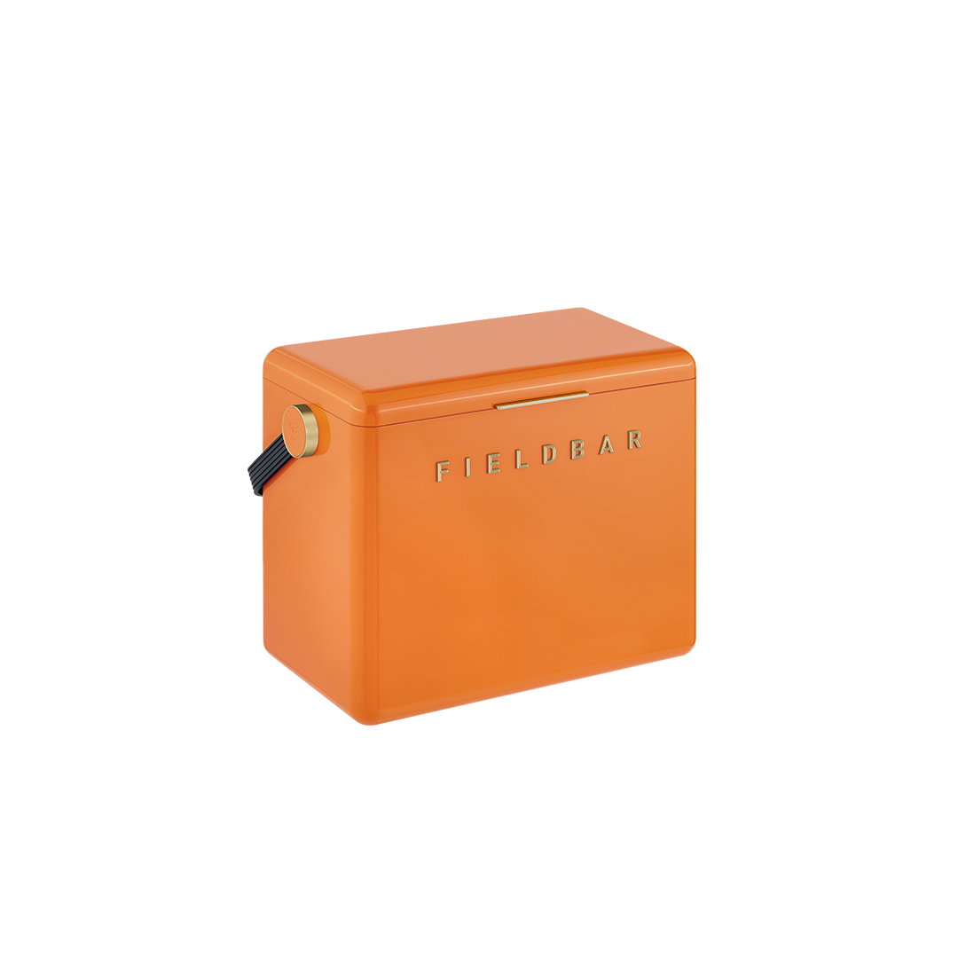 Gin Trunk in Orchard Orange