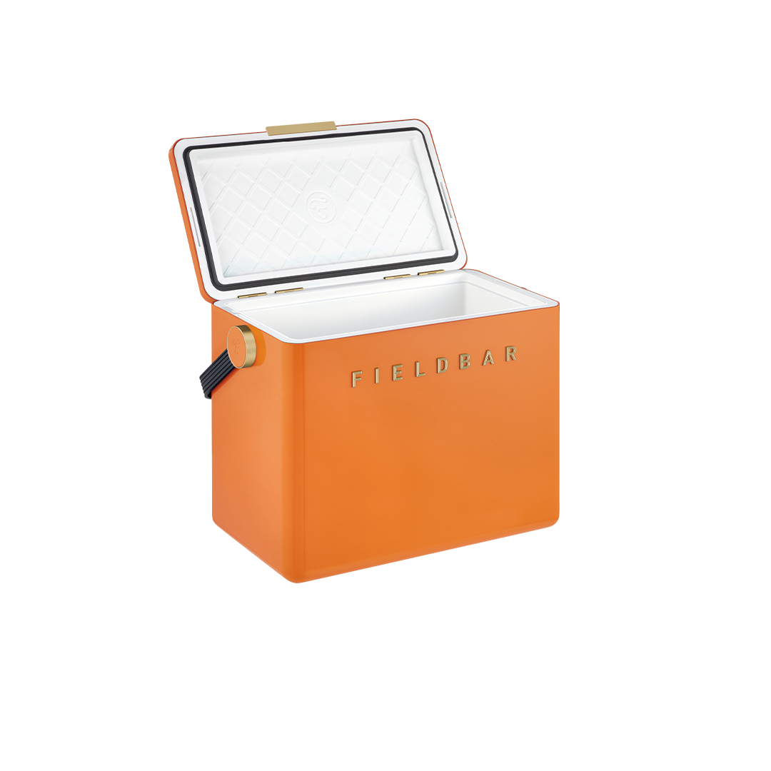 Gin Trunk in Orchard Orange