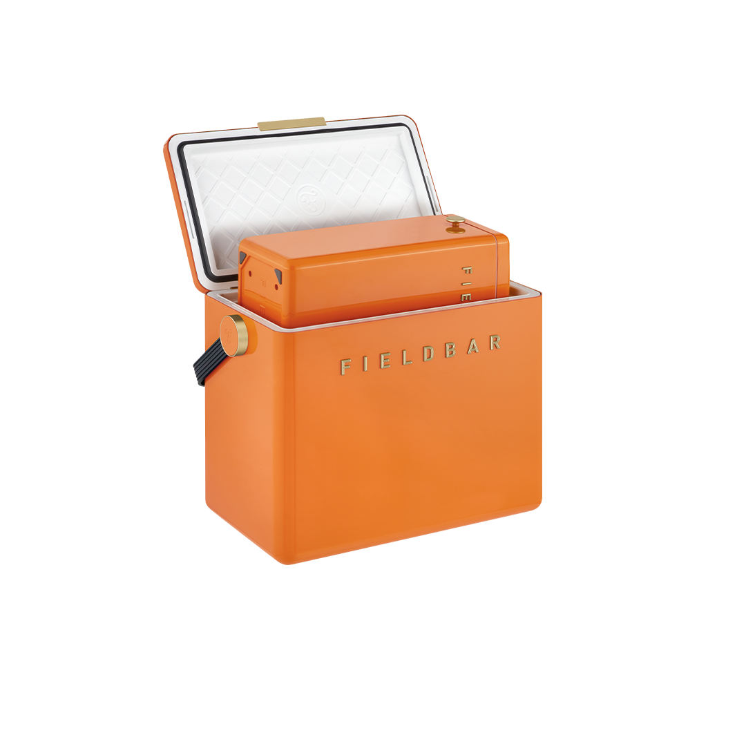 Gin Trunk in Orchard Orange