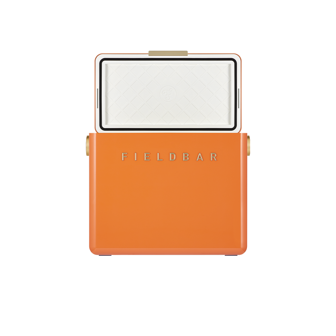 Gin Trunk in Orchard Orange