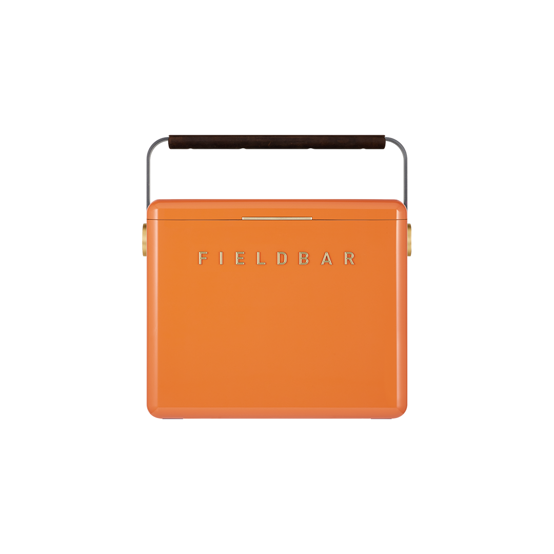 Gin Trunk in Orchard Orange