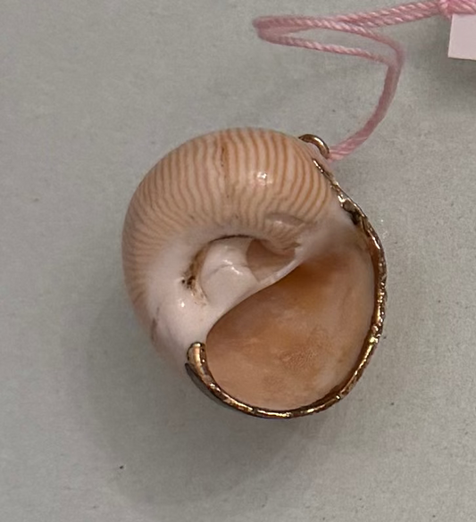 Shell with Gold