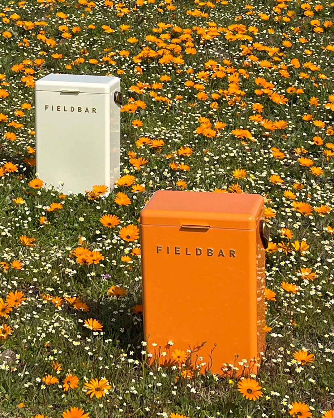 Drinks Box in Orchard Orange with Leather Sling