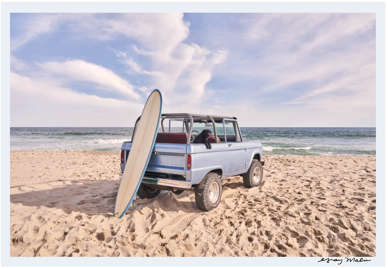 Beach Bronco Pup - Nantucket