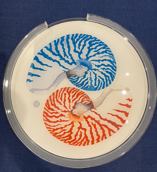 Nautilus Palm Beach Acrylic Placemat Tray 16"  Round