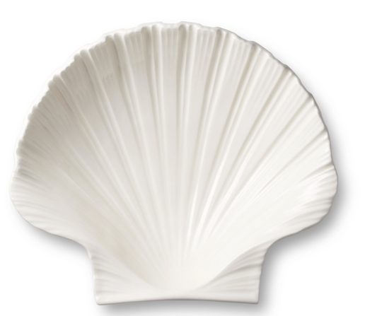 Shell Platter- Medium