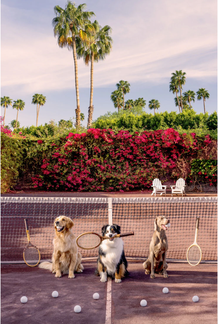 Tennis Match - Parker Palm Springs