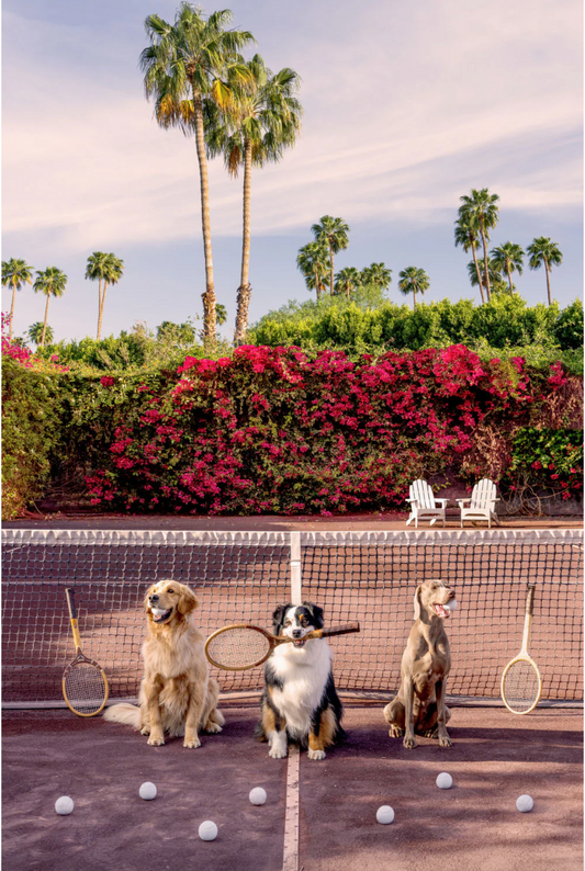 Tennis Match - Parker Palm Springs