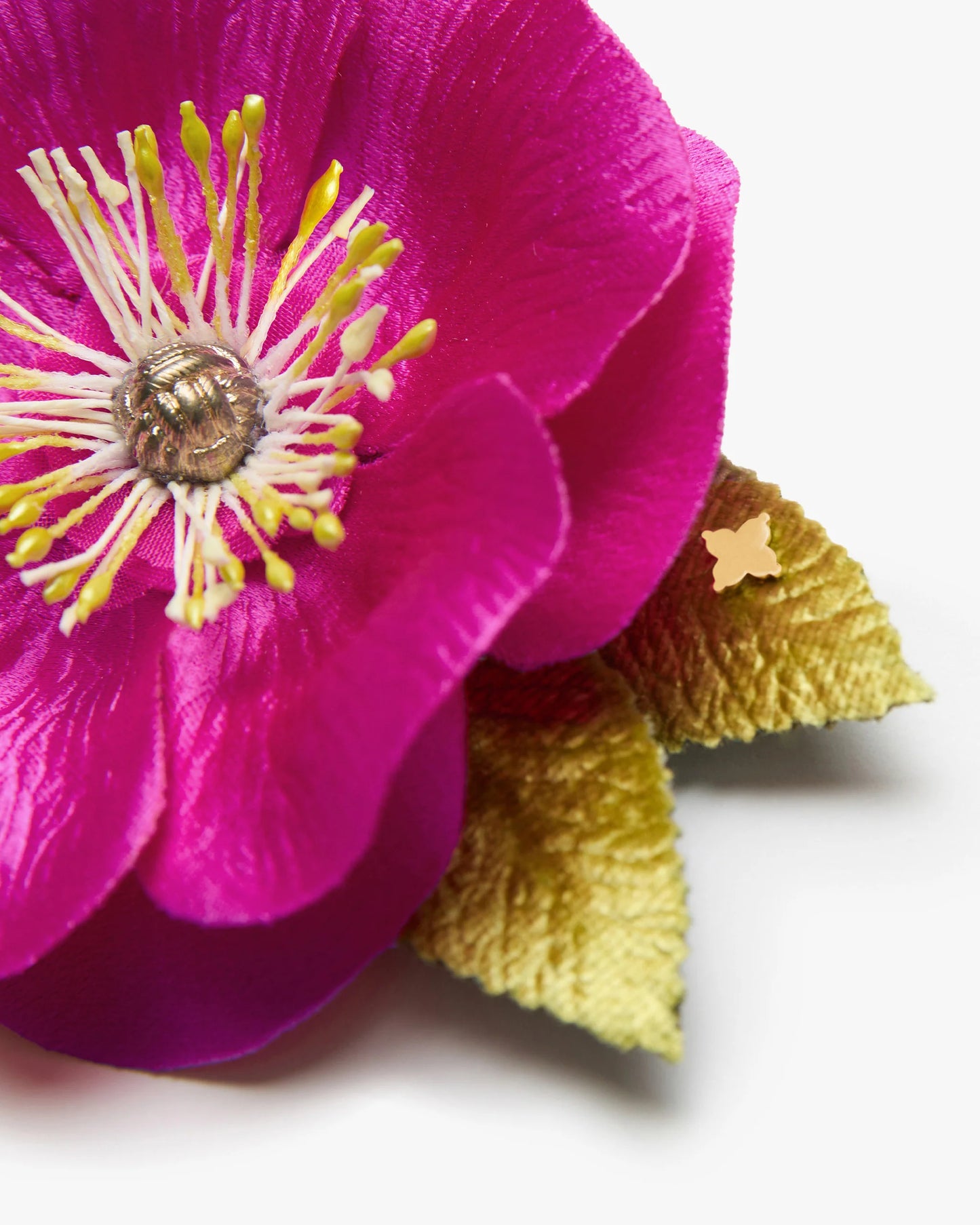 The Nantucket Rose