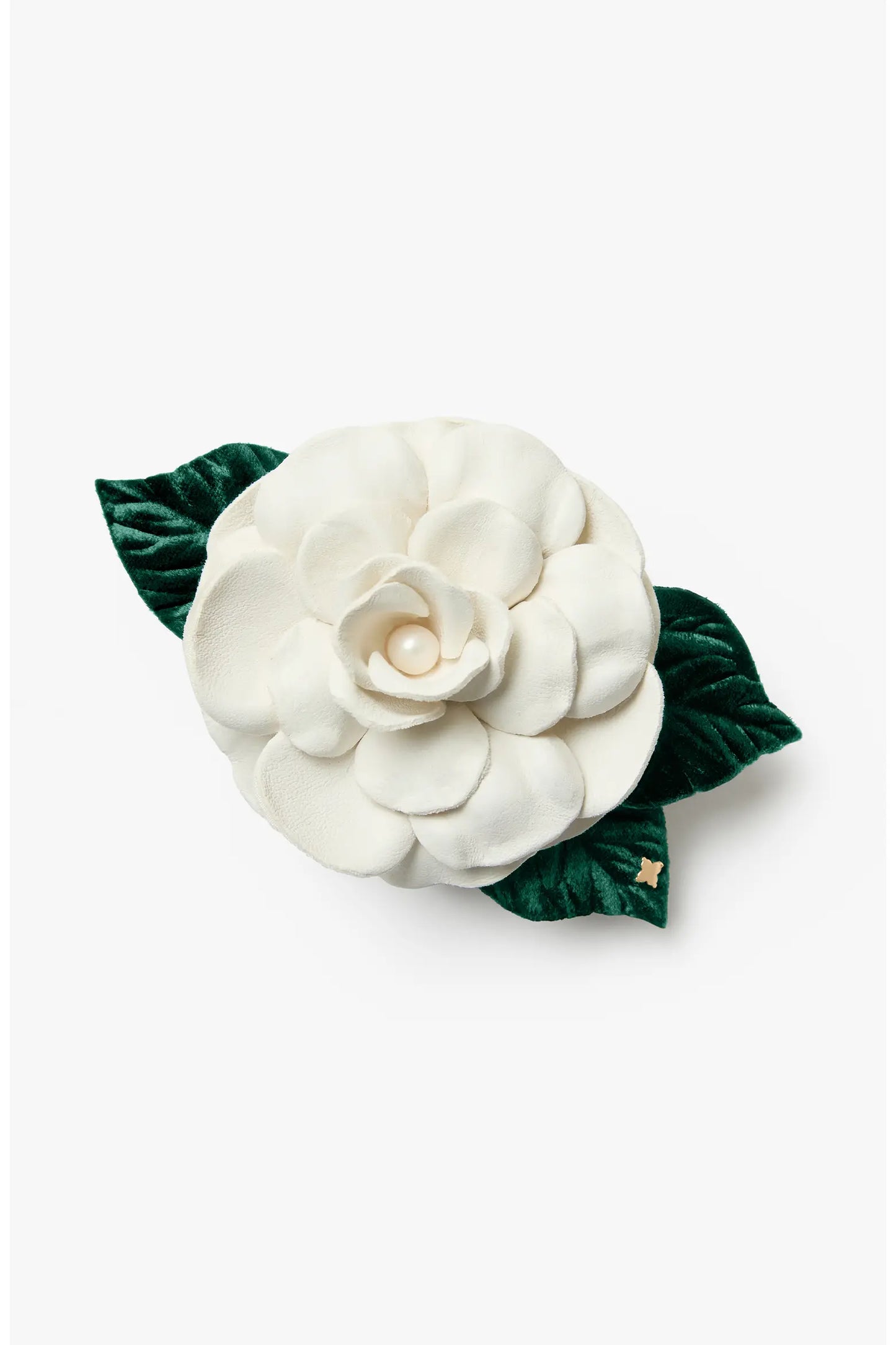 The Small White Gardenia