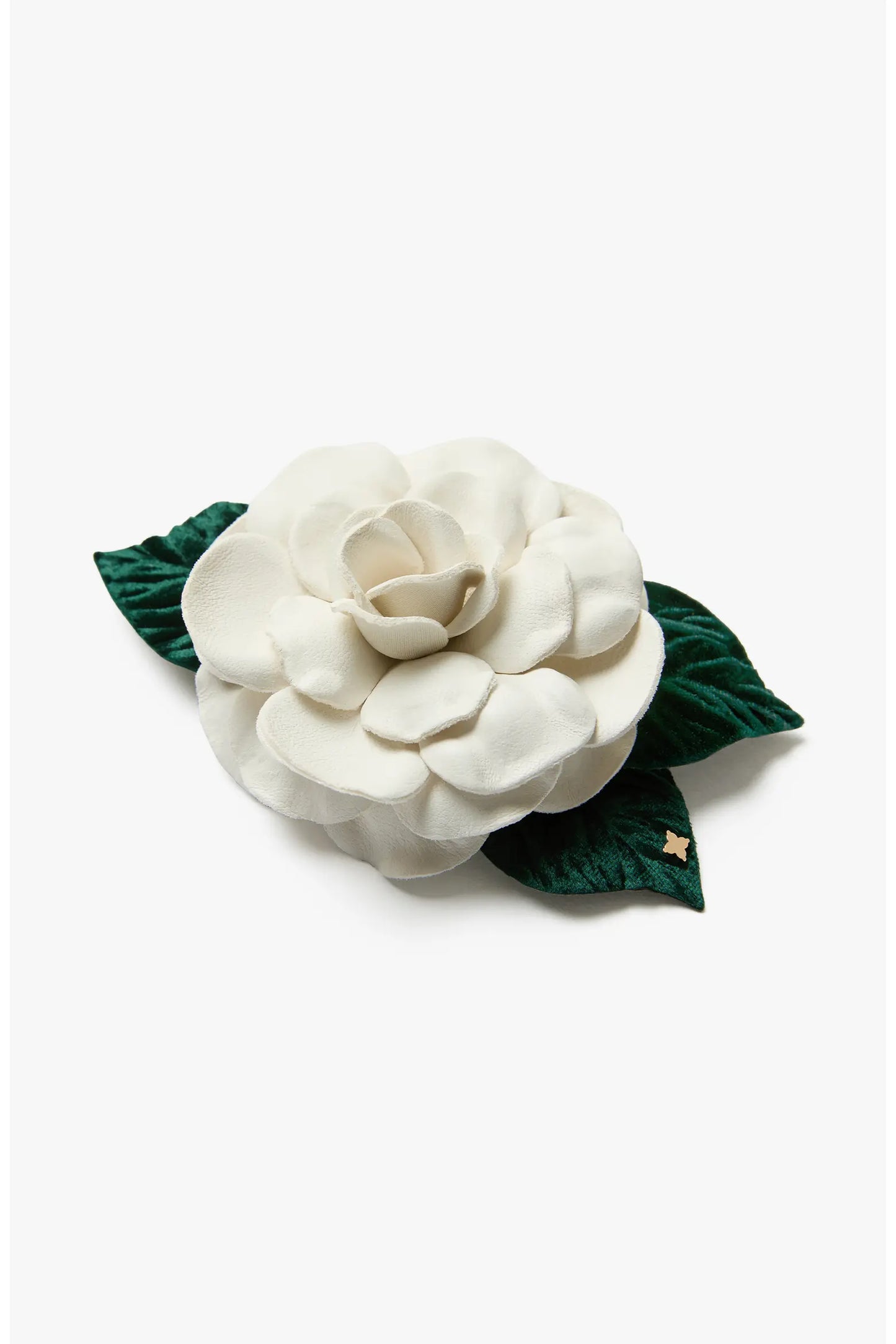 The Small White Gardenia