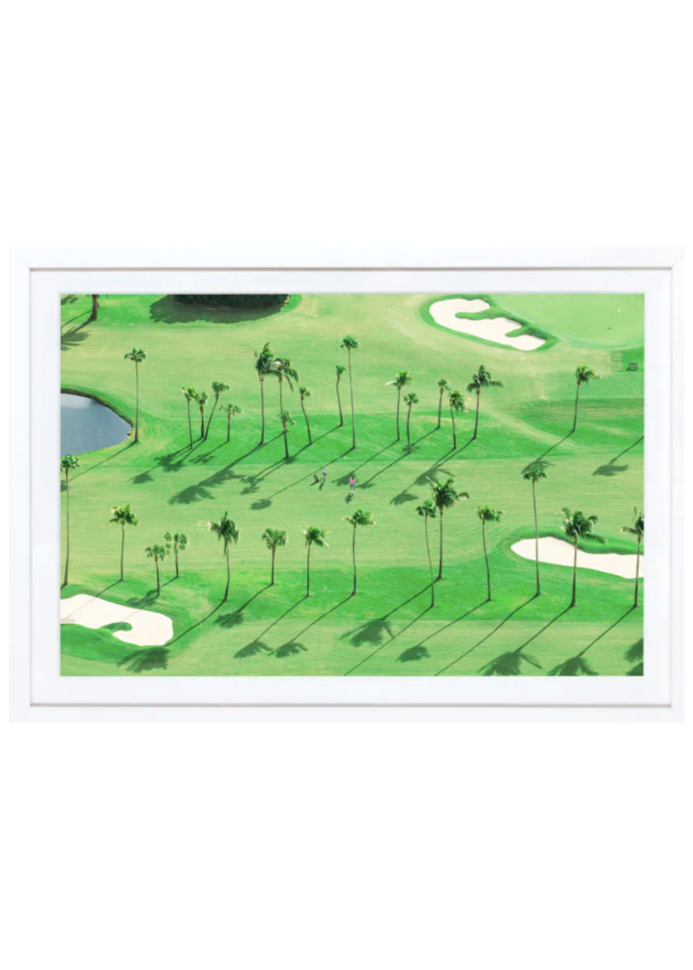 The Golfers, Palm Beach