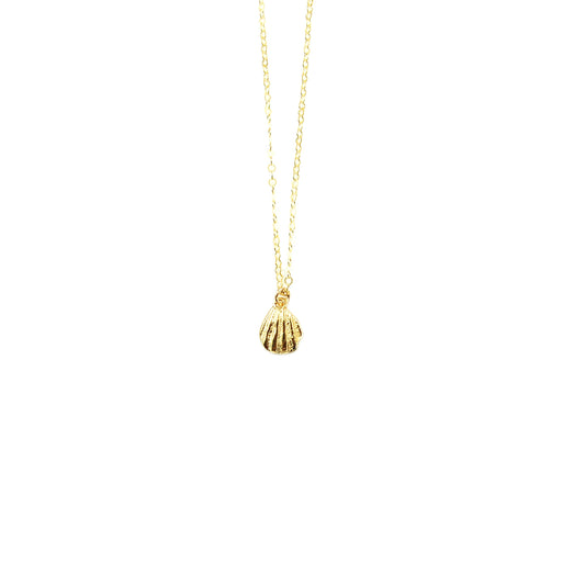 Gold Mini Shell Necklace