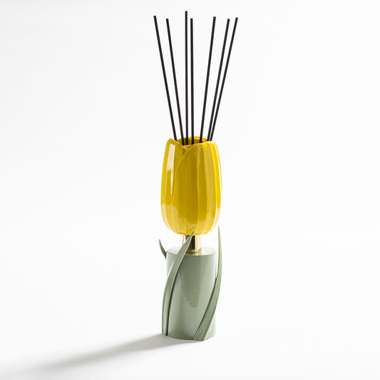 Tulipano Giallo Stelo Verdeacqua 1L