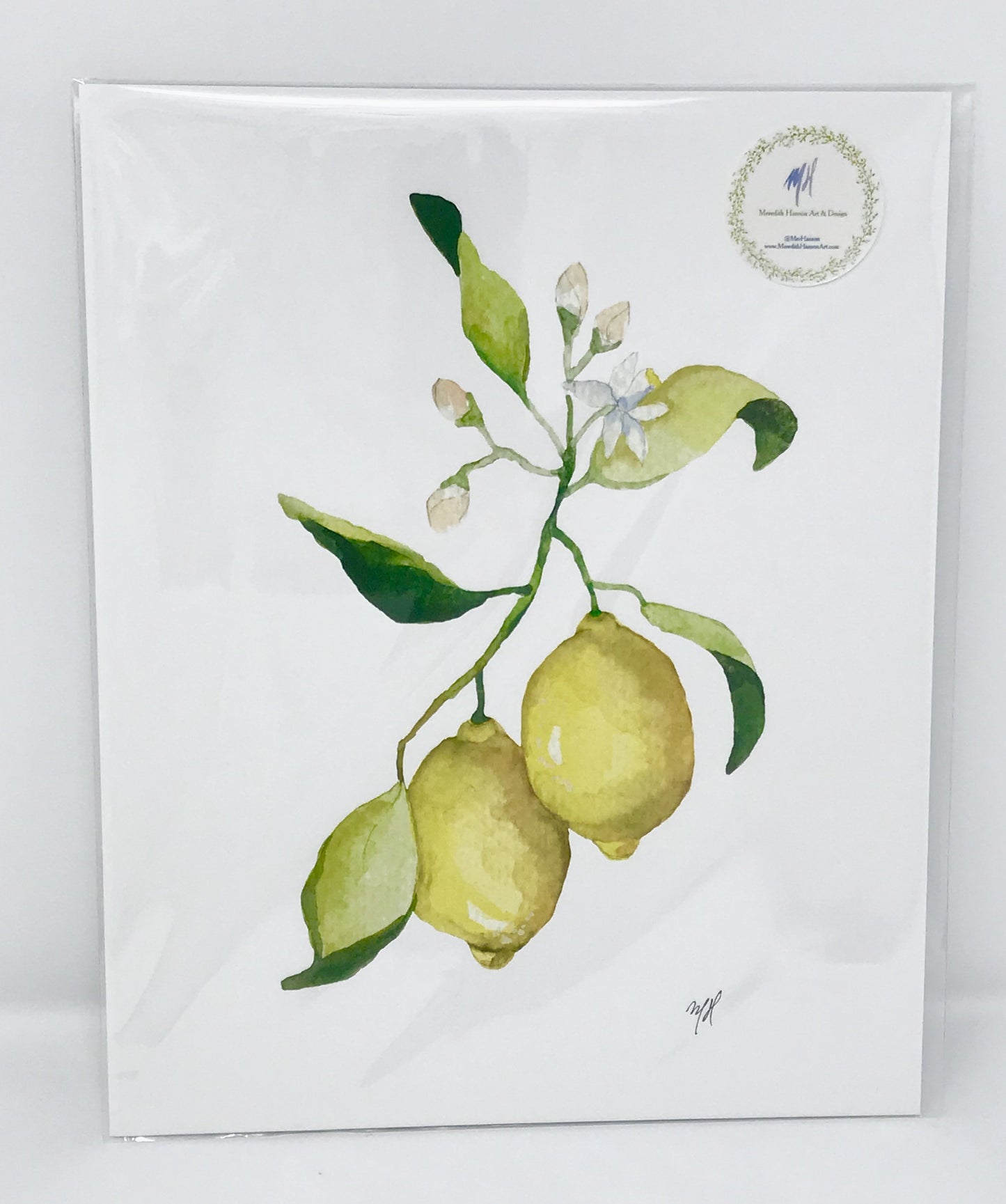 Meredith Hanson Prints