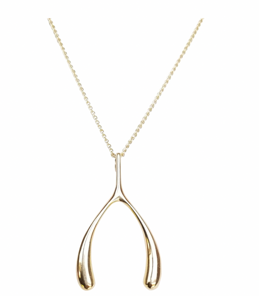 LUCKY Gold Wishbone Pendant Necklace