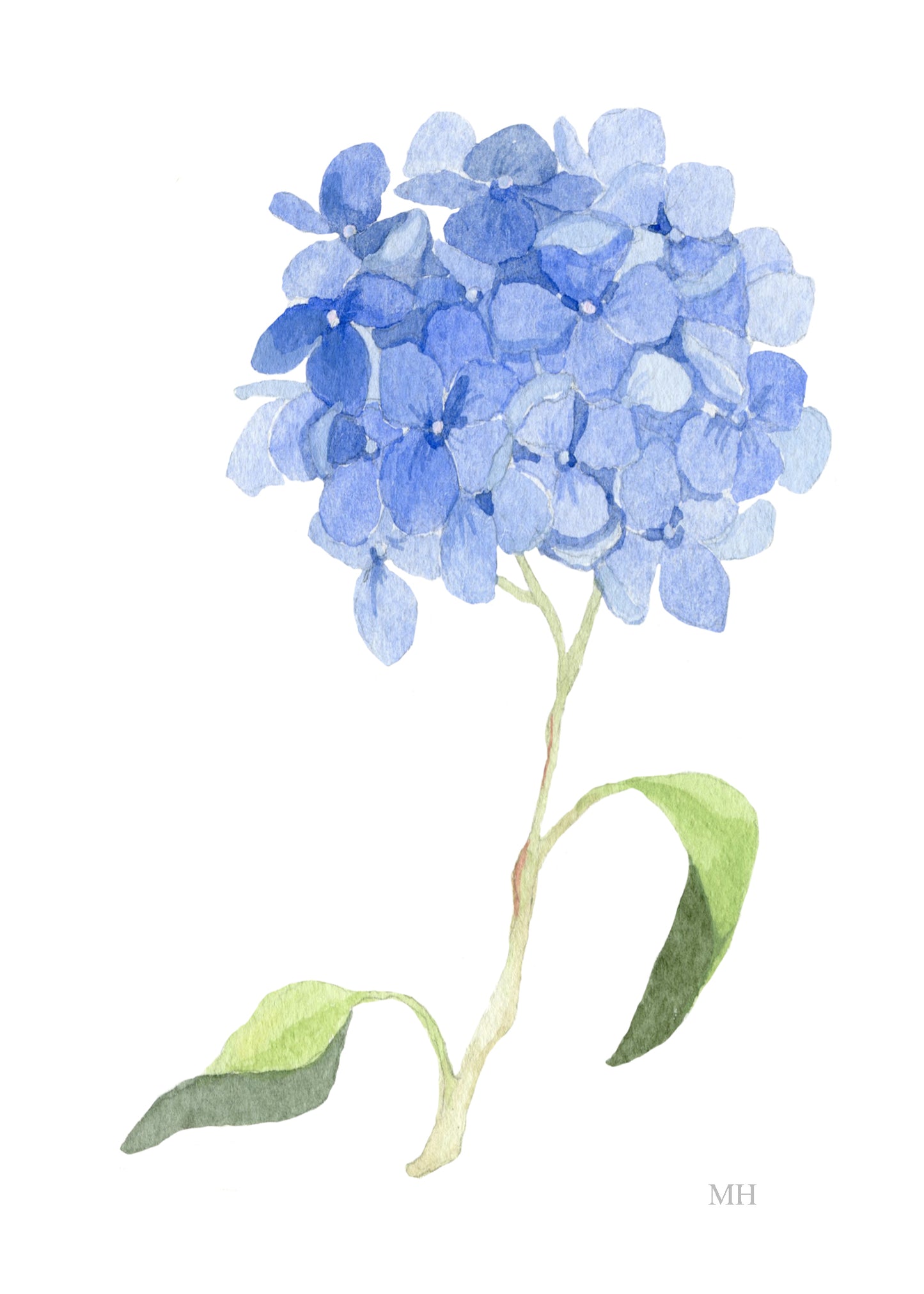 Meredith Hanson Prints